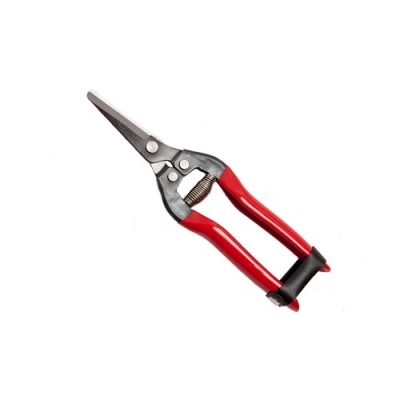 Forbice acciaio cm. 19 pulisci uva